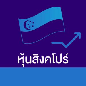 ขั้นตอนที่ 16