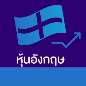 ขั้นตอนที่ 20
